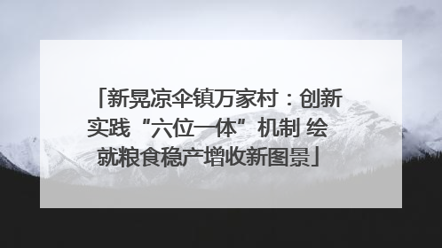 新晃凉伞镇万家村：创新实践“六位一体”机制 绘就粮食稳产增收新图景