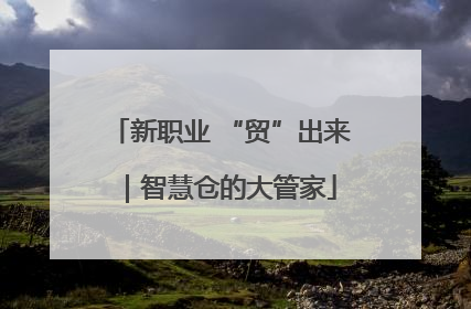 新职业 “贸”出来｜智慧仓的大管家