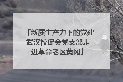 新质生产力下的党建 武汉校促会党支部走进革命老区黄冈