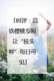 时评：高铁樱桃专厢 让“枝头鲜”每日可见