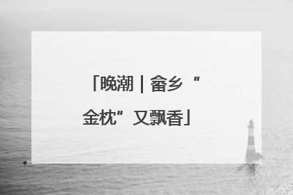 晚潮｜畲乡“金枕”又飘香