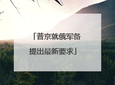普京就俄军备提出最新要求