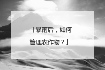 暴雨后，如何管理农作物？