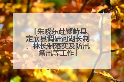 朱晓东赴繁峙县、定襄县调研河湖长制、林长制落实及防汛备汛等工作