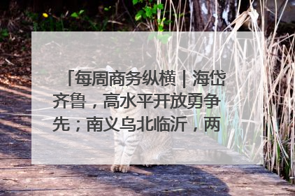每周商务纵横｜海岱齐鲁，高水平开放勇争先；南义乌北临沂，两扇窗里观外贸