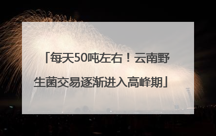 每天50吨左右！云南野生菌交易逐渐进入高峰期