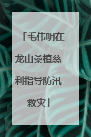 毛伟明在龙山桑植慈利指导防汛救灾