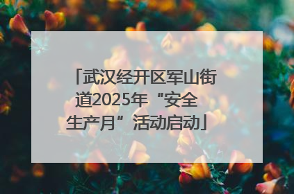 武汉经开区军山街道2025年“安全生产月”活动启动