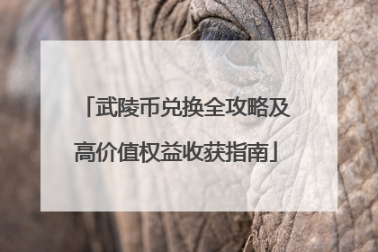 武陵币兑换全攻略及高价值权益收获指南