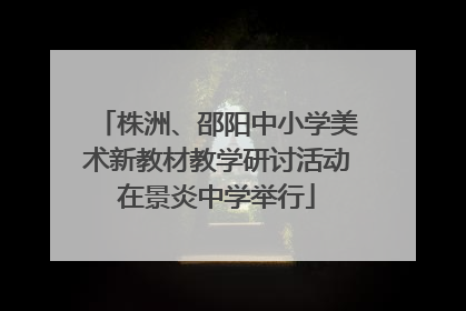 株洲、邵阳中小学美术新教材教学研讨活动在景炎中学举行