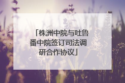 株洲中院与吐鲁番中院签订司法调研合作协议