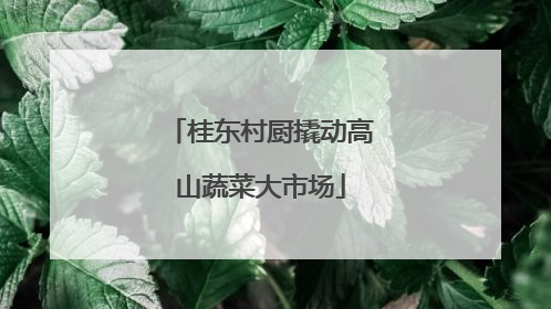 桂东村厨撬动高山蔬菜大市场