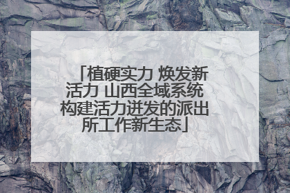 植硬实力 焕发新活力 山西全域系统构建活力迸发的派出所工作新生态
