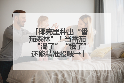 椰壳里种出“番茄森林”！当番茄“渴了”“饿了”还能精准投喂→