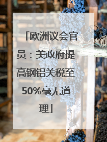 欧洲议会官员：美政府提高钢铝关税至50%毫无道理
