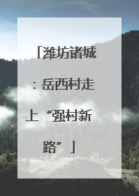 潍坊诸城：岳西村走上“强村新路”