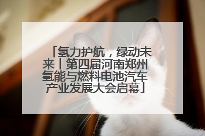 氢力护航，绿动未来丨第四届河南郑州氢能与燃料电池汽车产业发展大会启幕