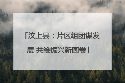 汶上县：片区组团谋发展 共绘振兴新画卷
