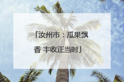 汝州市：瓜果飘香 丰收正当时