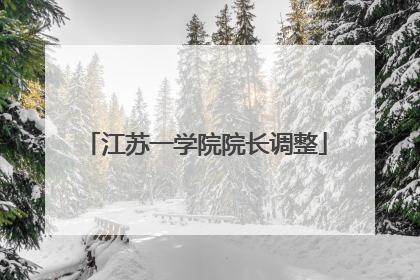 江苏一学院院长调整