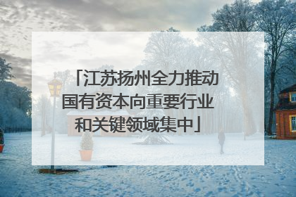 江苏扬州全力推动国有资本向重要行业和关键领域集中