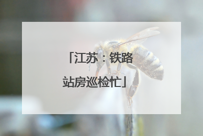 江苏：铁路站房巡检忙