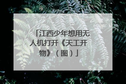 江西少年想用无人机打开《天工开物》（图）