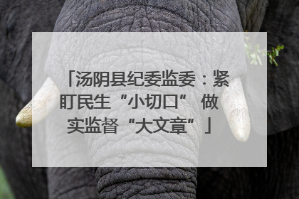 汤阴县纪委监委：紧盯民生“小切口” 做实监督“大文章”