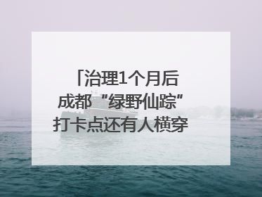 治理1个月后 成都“绿野仙踪”打卡点还有人横穿马路去拍照吗？｜民情瞭望
