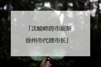 沈峻峰跨市履新徐州市代理市长