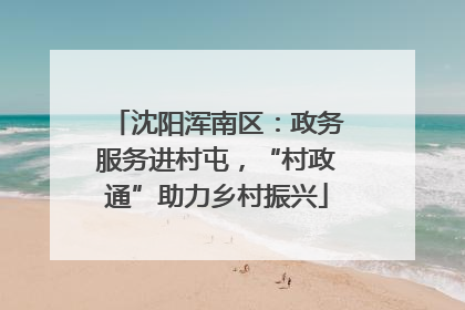 沈阳浑南区：政务服务进村屯，“村政通”助力乡村振兴