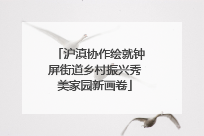 沪滇协作绘就钟屏街道乡村振兴秀美家园新画卷