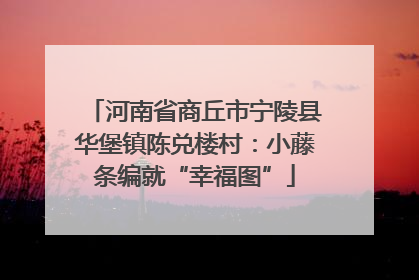 河南省商丘市宁陵县华堡镇陈兑楼村：小藤条编就“幸福图”