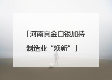 河南真金白银加持制造业“焕新”