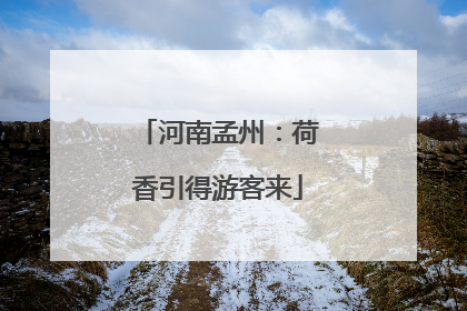 河南孟州：荷香引得游客来