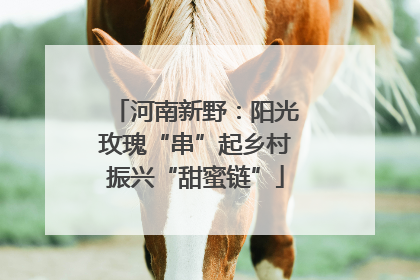 河南新野：阳光玫瑰“串”起乡村振兴“甜蜜链”