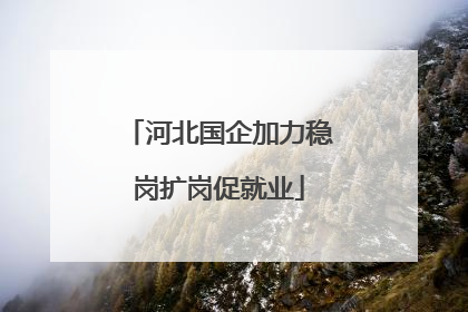 河北国企加力稳岗扩岗促就业