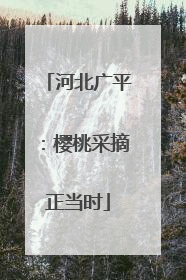 河北广平：樱桃采摘正当时