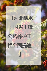 河北衡水：国省干线公路养护工程全面提速