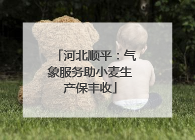 河北顺平：气象服务助小麦生产保丰收