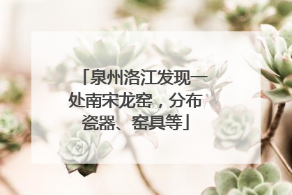 泉州洛江发现一处南宋龙窑，分布瓷器、窑具等