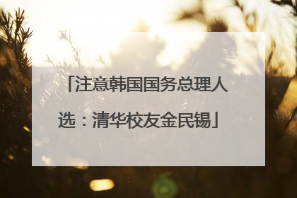 注意韩国国务总理人选：清华校友金民锡