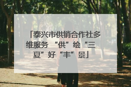 泰兴市供销合作社多维服务 “供”绘“三夏”好“丰”景