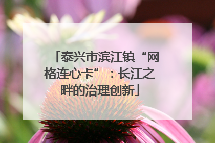 泰兴市滨江镇“网格连心卡”：长江之畔的治理创新