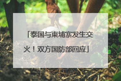 泰国与柬埔寨发生交火！双方国防部回应