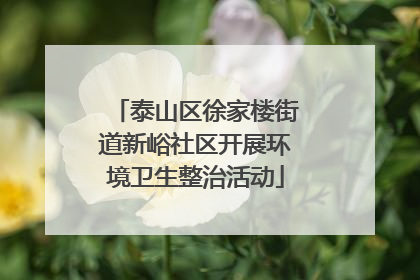 泰山区徐家楼街道新峪社区开展环境卫生整治活动