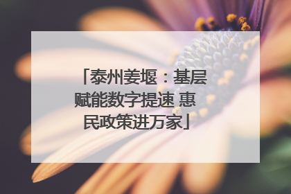 泰州姜堰：基层赋能数字提速 惠民政策进万家