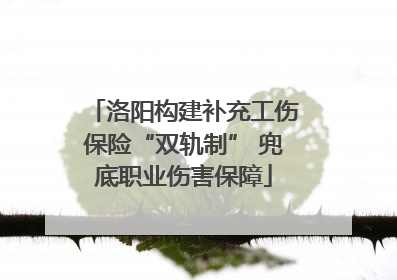 洛阳构建补充工伤保险“双轨制” 兜底职业伤害保障