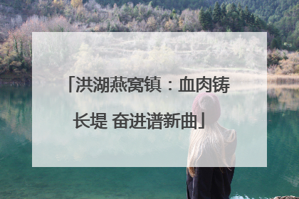 洪湖燕窝镇：血肉铸长堤 奋进谱新曲
