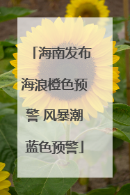 海南发布海浪橙色预警 风暴潮蓝色预警